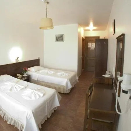 Hotel Binlik